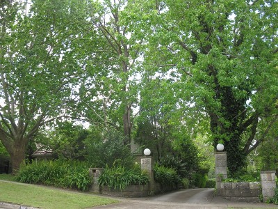 5 Storey Site
2371sqm Picture