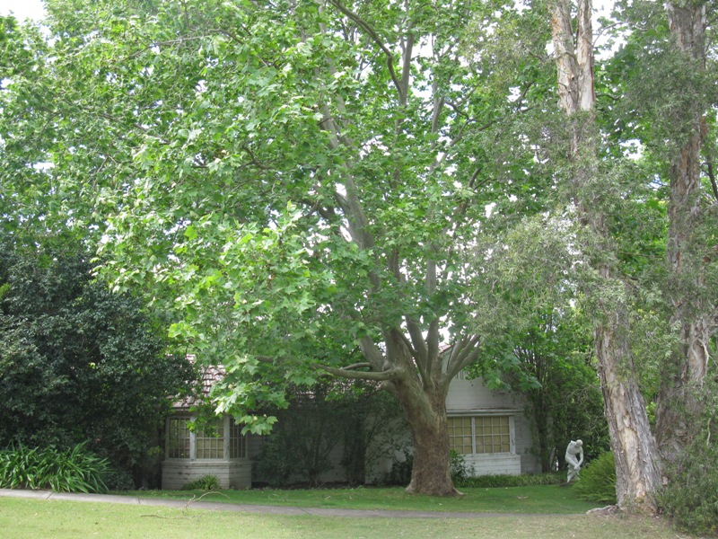 5 Storey Site
2371sqm Picture 2