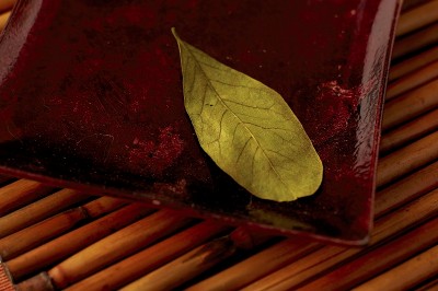 Catalina - Lifestyle Picture Catalina - Lifestyle Picture