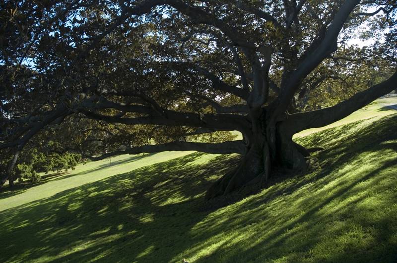 Catalina - Lifestyle Picture 3