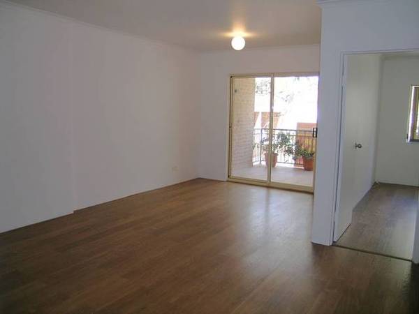 GREAT STARTER Picture 3