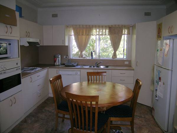 GREAT STARTER Picture 3