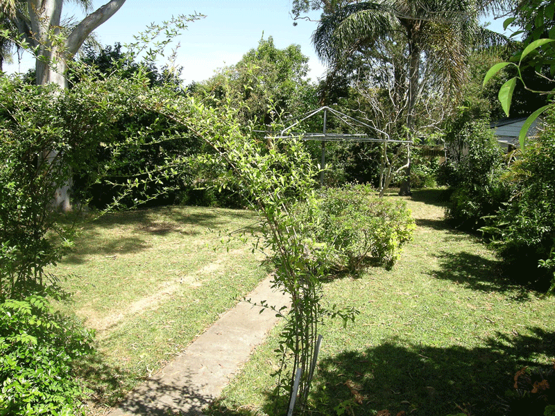 HOUSE - 2 BEDROOMS + STUDY - OYSTER BAY Picture