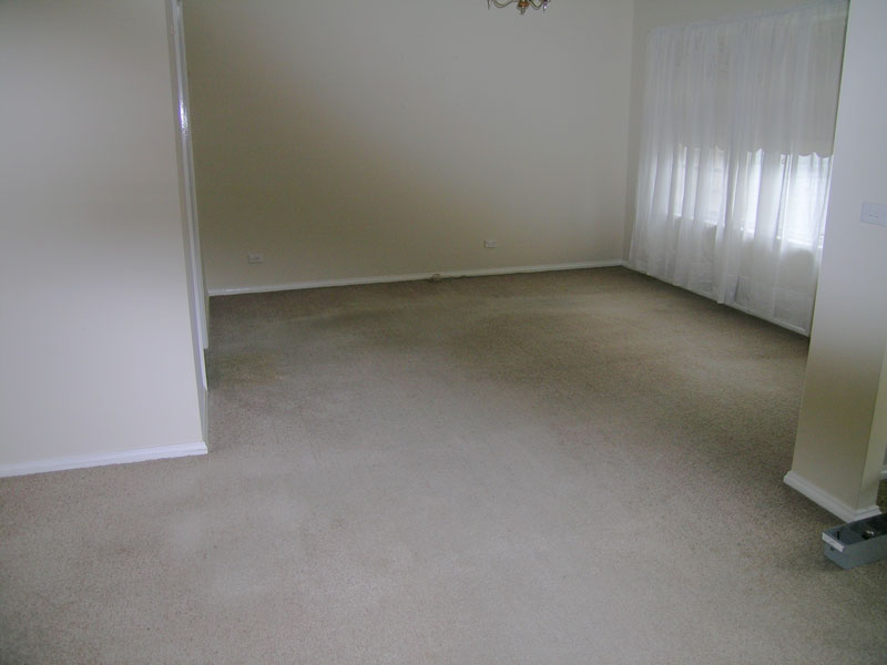 SOUTH HURSTVILLE - 3 BEDROOM VILLA Picture 2