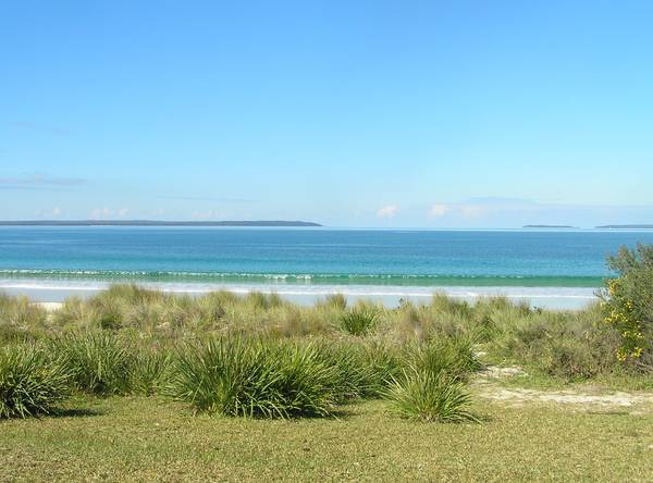 ABSOLUTE BEACHFRONT LAND Picture 1