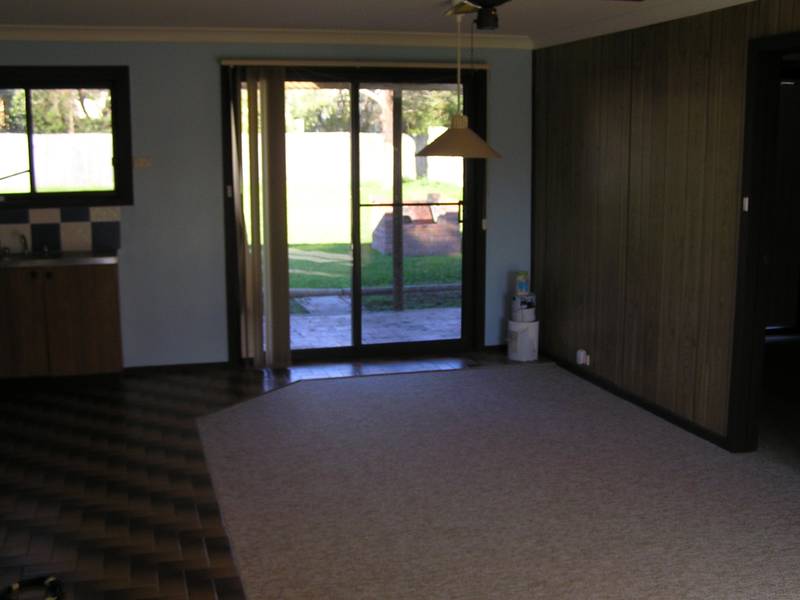 Great Starter! Picture