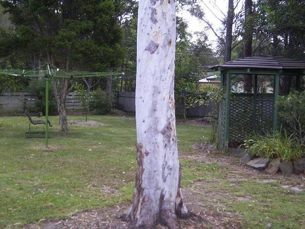 Stroll To The Bay Picture