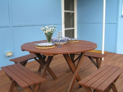 Starfish Picture Starfish Picture