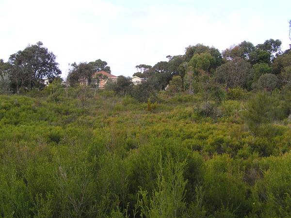 MEDIUM DENSITY SITE Picture 2