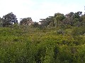 MEDIUM DENSITY SITE Picture