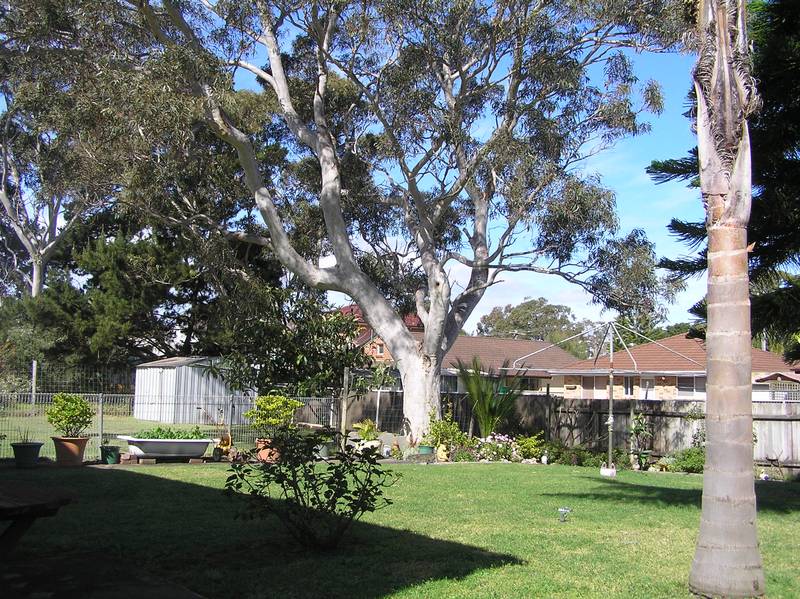 STROLL TO THE BEACH Picture 2