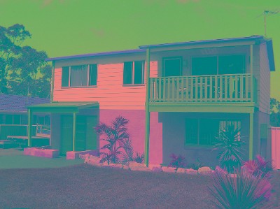 GREAT CALLALA VALUE!! Picture GREAT CALLALA VALUE!! Picture