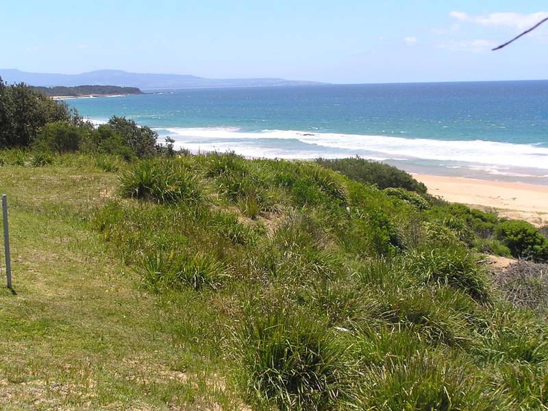 RARE VACANT BEACHFRONT LAND Picture 2