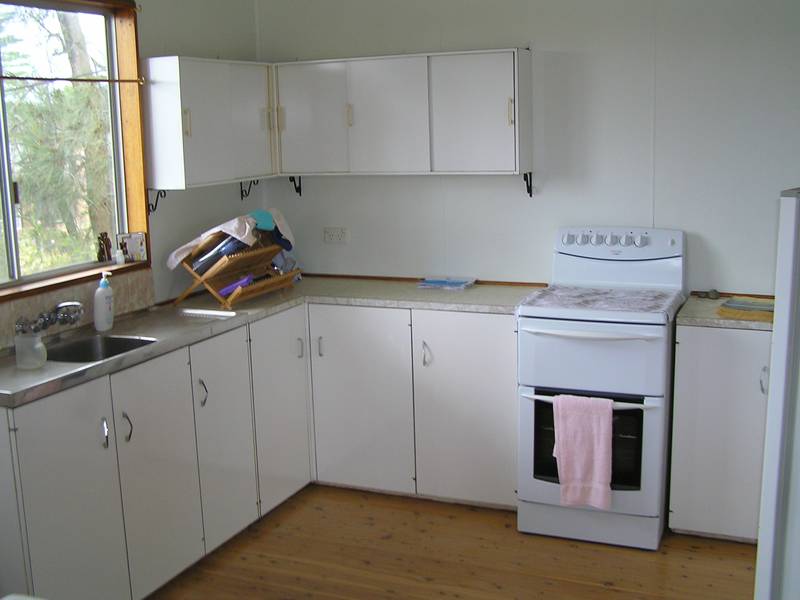 GREAT STARTER Picture 2