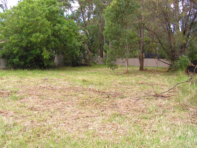 READY TO BUILD ON Picture 1