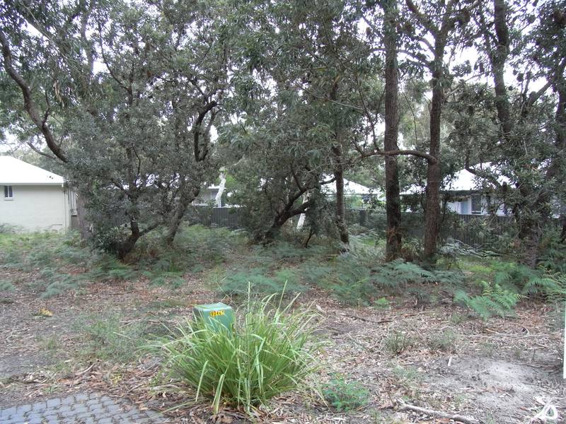 BUILD THE BEACH HOUSE OF YOUR DREAMS Picture 2