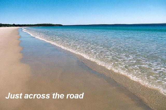 Ten Good Reasons Picture 1