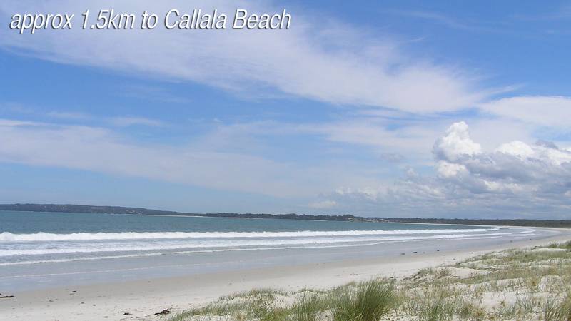 BETWEEN THE BAY AND THE BEACH Picture 2