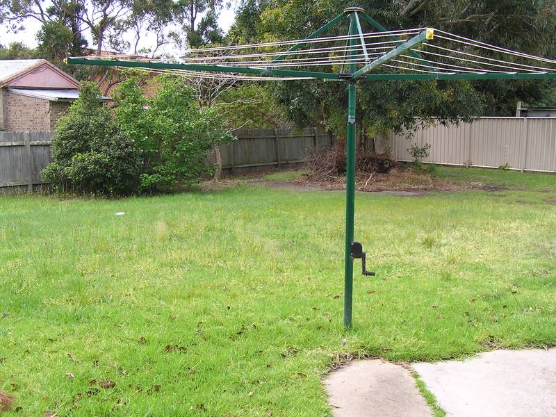 THE GREAT WEEKENDER Picture 2