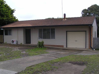 THE GREAT WEEKENDER Picture