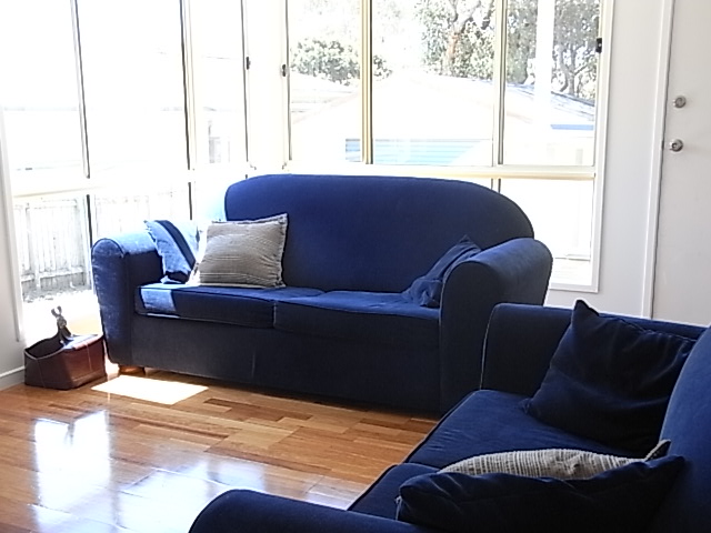 Wairua - Pet Friendly Picture 2