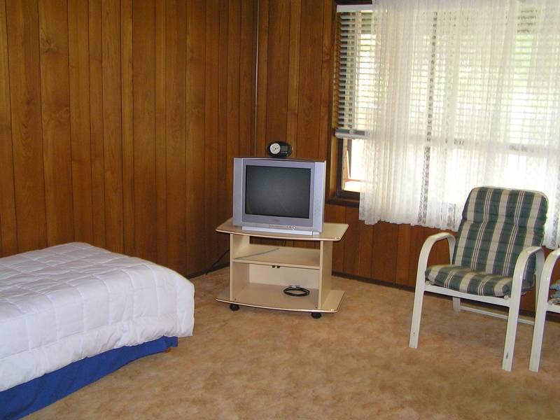 BUDGET PRICED Picture 3