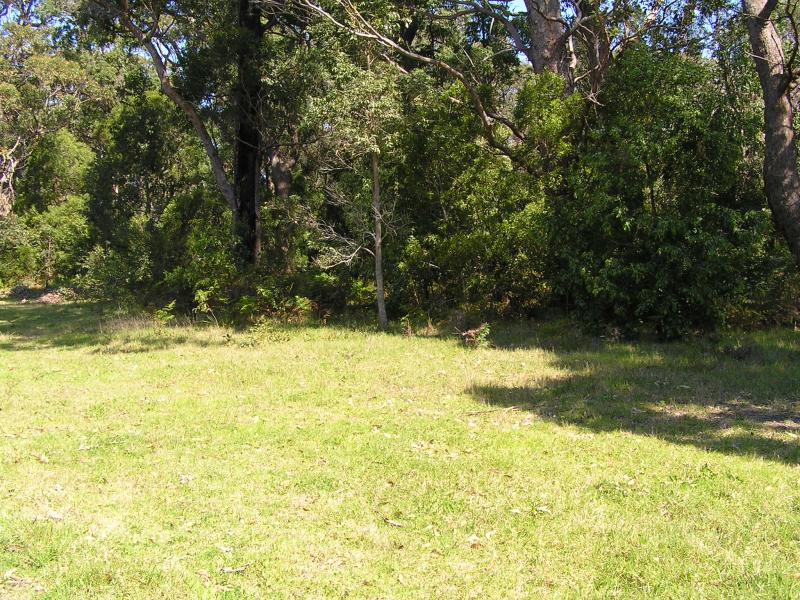 FROM BUSH TO BEACH
. .2ha(1/2 acre) Picture 1