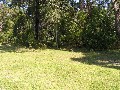 FROM BUSH TO BEACH
. .2ha(1/2 acre) Picture