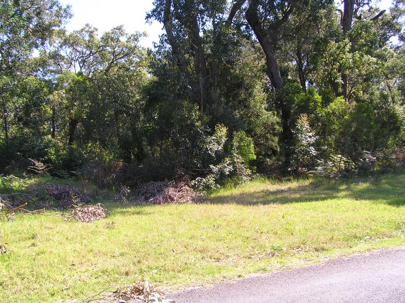 FROM BUSH TO BEACH
. .2ha(1/2 acre) Picture 2