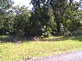 FROM BUSH TO BEACH
. .2ha(1/2 acre) Picture