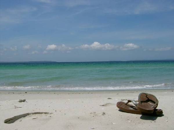 ABSOLUTE BEACH FRONT Picture 3