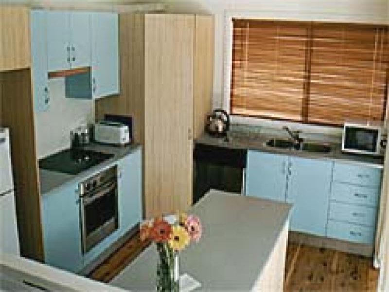 Kingfisher Blue Picture 3