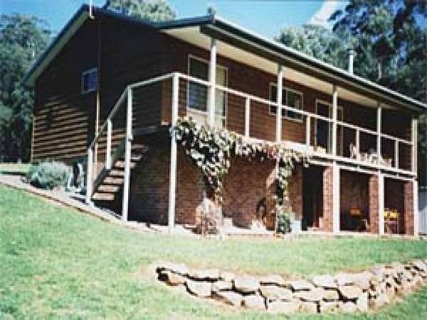 Misty Mountain Picture 1