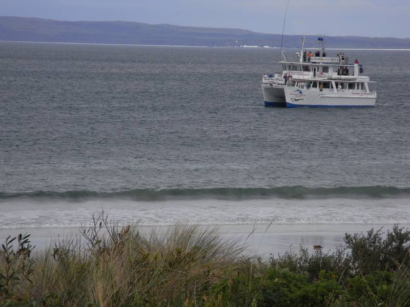 Beach View Picture 1