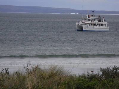 Beach View Picture Beach View Picture