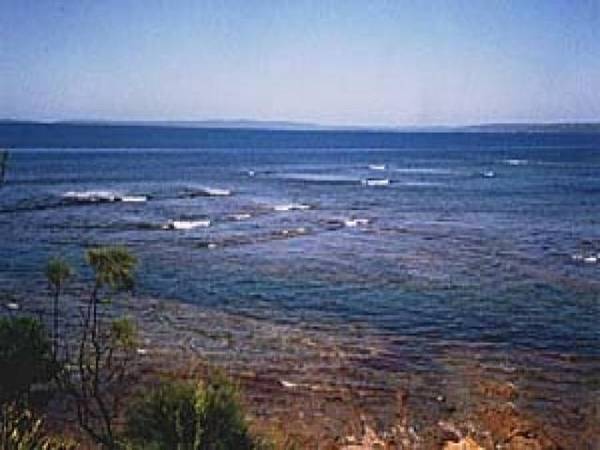 Sea Treasure Cottage Picture 1