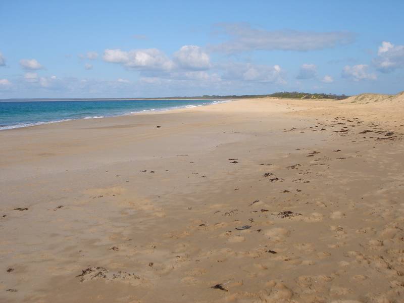 The Boat House Picture 3