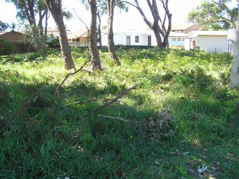 BEACH AT THE END OF THE STREET Picture 2