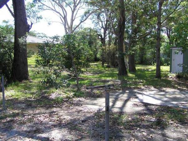 RARE OFFERING Picture 1