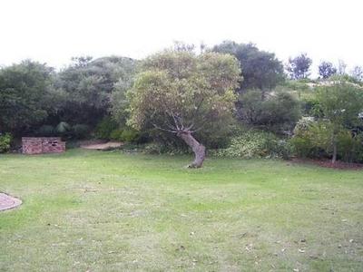 RARELY OFFERED Picture