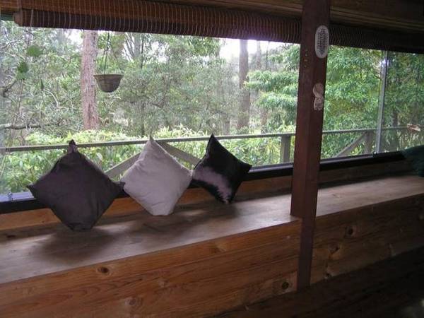 Something Different ??? Picture 1