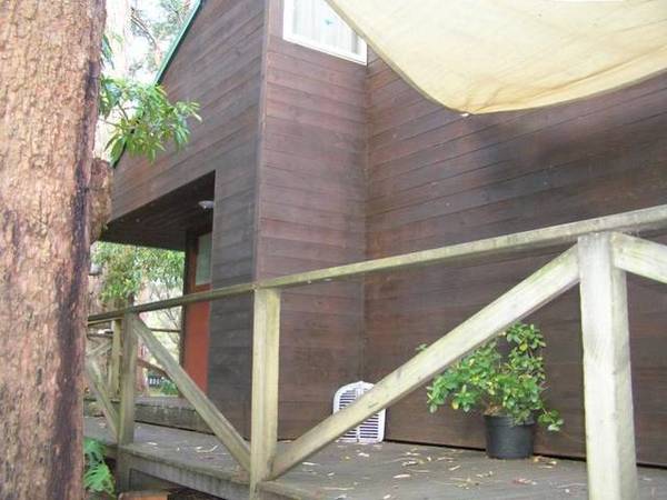 Something Different ??? Picture 3