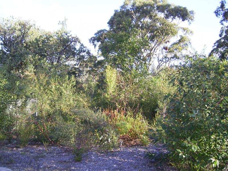 Stroll To The Beach Picture 1