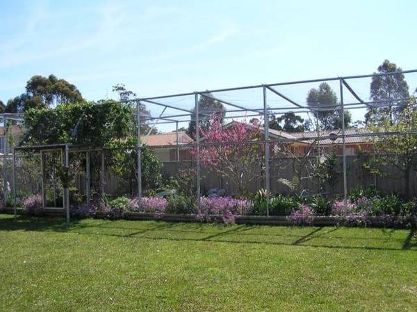 Top Quality Dual Occupancy Picture 2