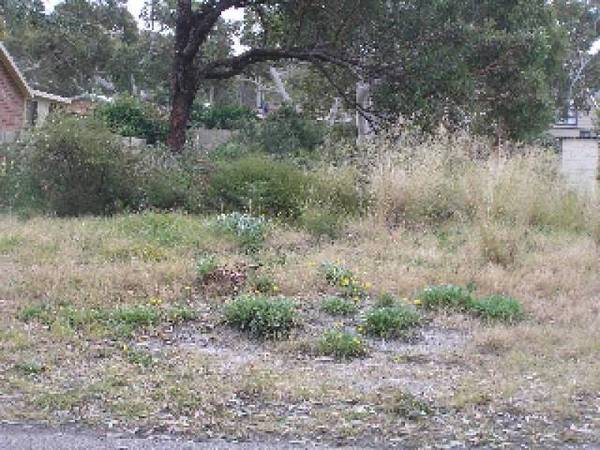 VACANT LAND ONLY ONE STREET BACK FROM THE BEACH Picture 1