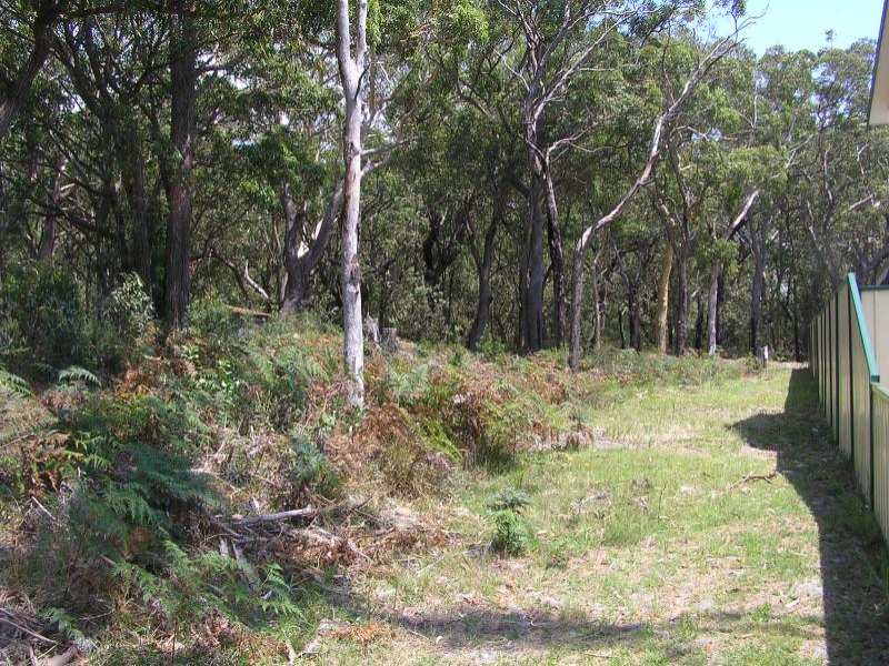 WHERE THE BEACH MEETS THE BUSH Picture 1