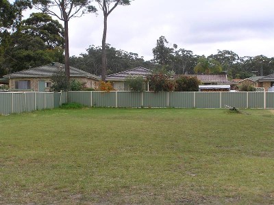 LARGE, LEVEL HOMESITE Picture LARGE, LEVEL HOMESITE Picture