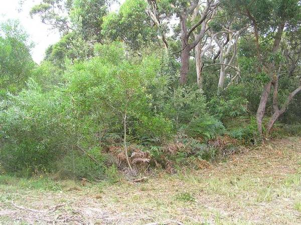 OPPOSITE BEACH FRONT RESERVE Picture 3