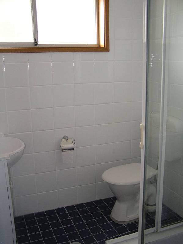 Neat as a pin Picture 3