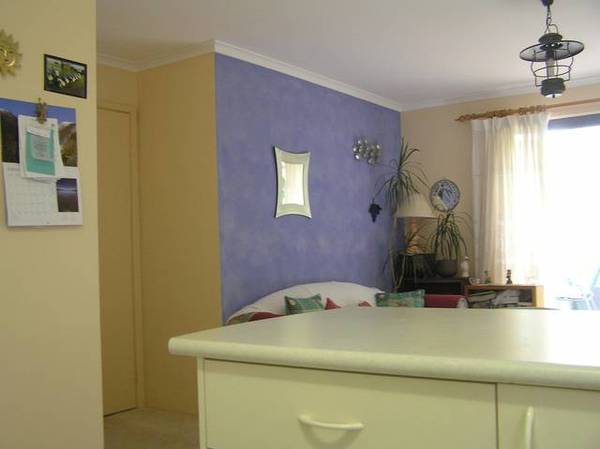 BEAUTIFULLY ESTABLISHED Picture 3